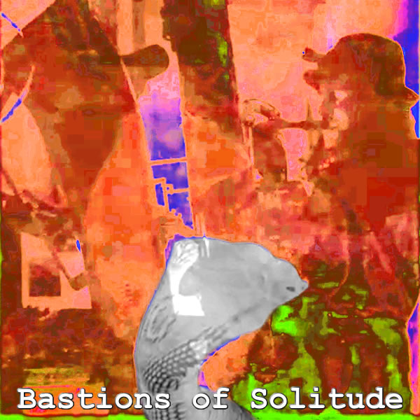Bastions Of Solitude